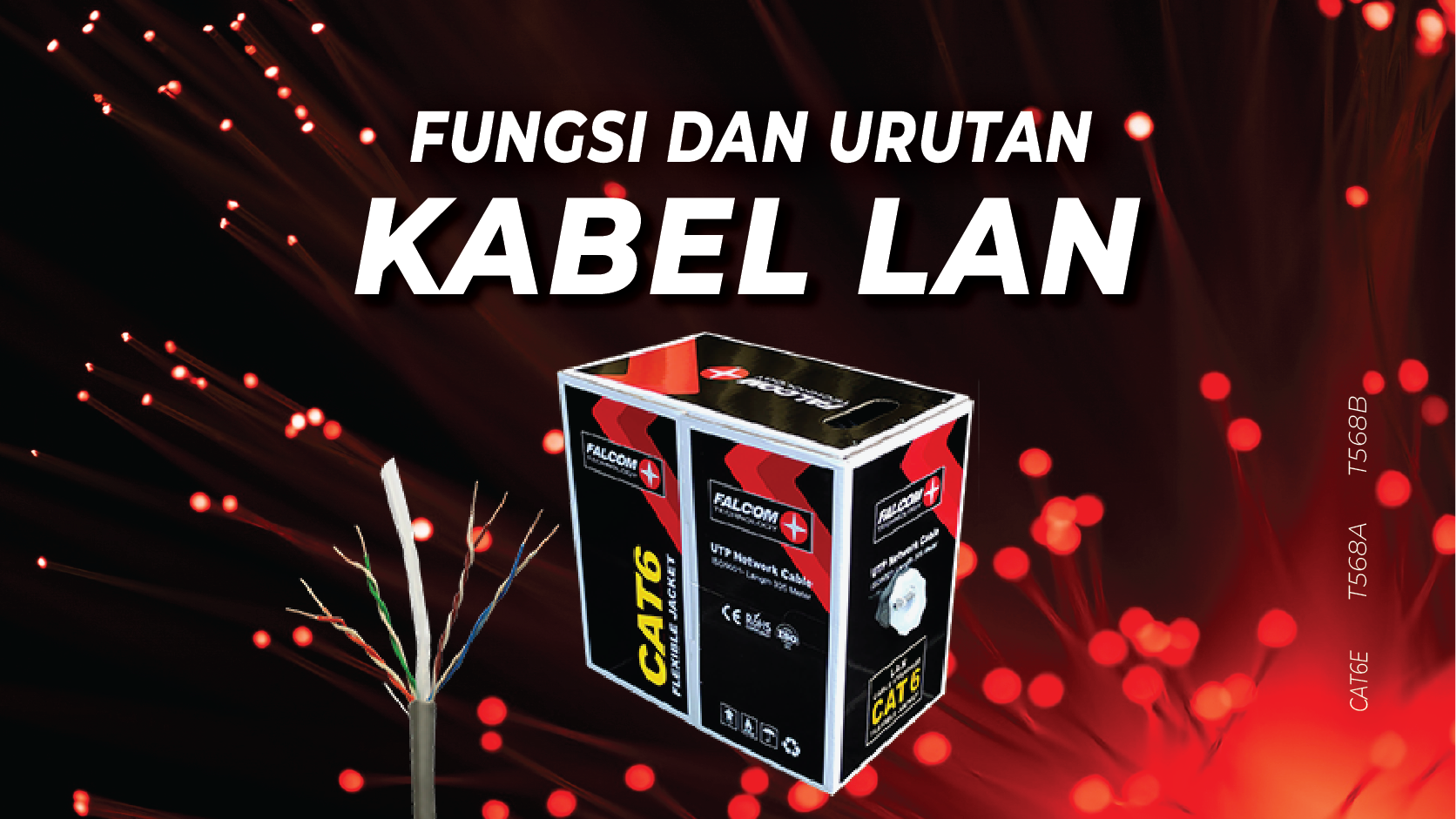 urutan kabel lan menurut standart